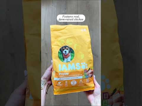 Puppy Powerhouse: IAMS Proactive Health Dry Dog Food with Real Chicken for Growing Pups
