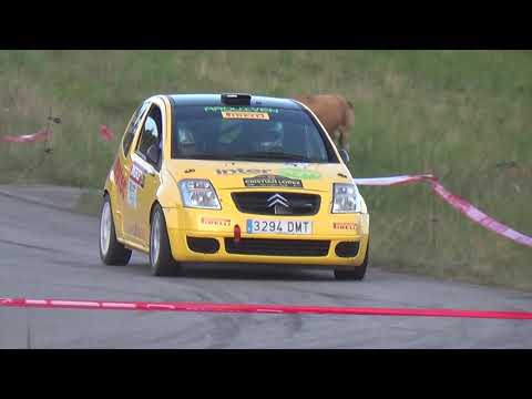 Antonio Bringas | Temporada 2021