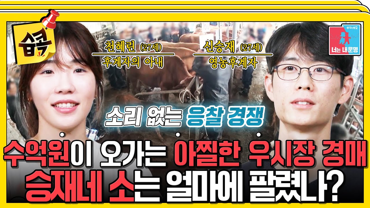 [#습콕📌] 💵목표 금액 2,200만💵 승재네 소는 경매에서 얼마에 낙찰될까? #동상이몽2 #YouareMyDestiny #SBSenter