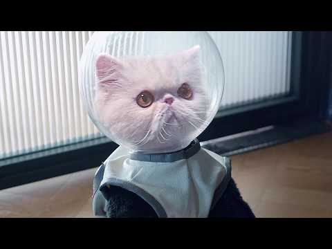 TNB CNY 2020 #RealityNotVirtual - Jero