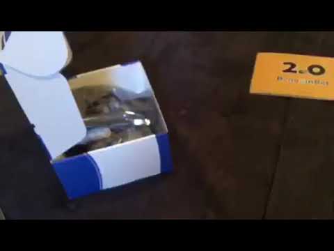 New Penguin bot by ELEGOO!