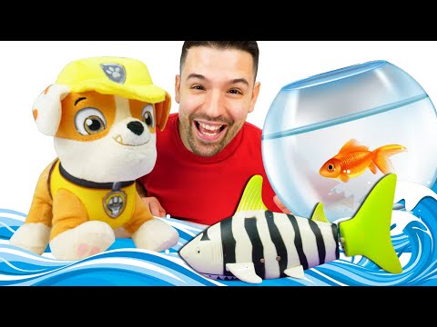 Mini squalo telecomandato per bambini! Impara i nomi degli animali marini con i Paw Patrol!