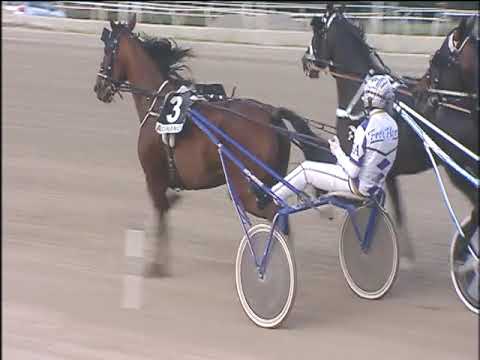 Trotto 25/10/2019 - 5ª corsa