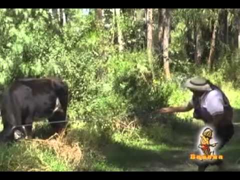 JUANA  ALVAREZ ASUNTA