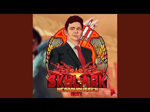 Skylark 2017 (Nesbrurussen)