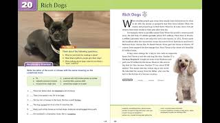Unit 20 Rich Dogs