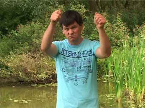 Zlatko Nedeljko Pepsi - Tri pesi