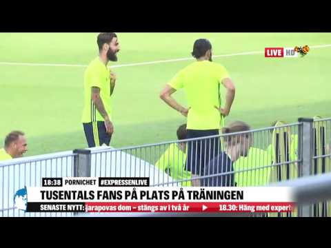 Zlatan får uppsträckning av landslagschefen efter boll-gåvorna