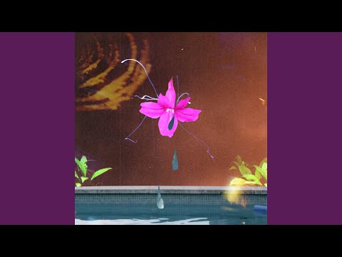 Video thumbnail for Lxshlxve