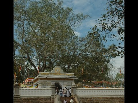 Sisilasa Danawana - Vivienne de Silva Boralessa