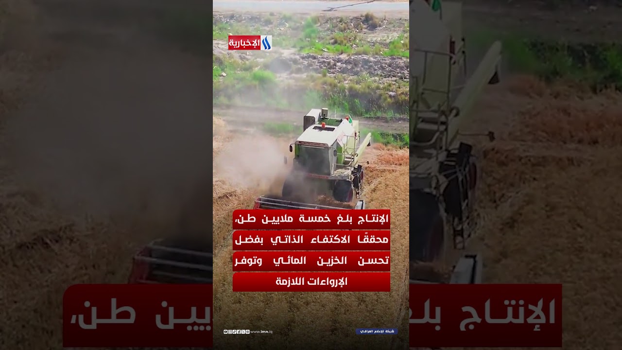 فيديو | ارتفاع الخزين يحقق الاكتفاء بالقمح ويعزز الموسم الزراعي