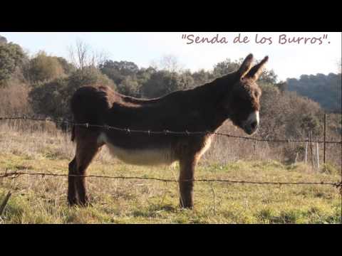 Ruta por Fuentes de Béjar