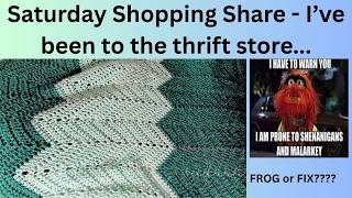 Saturday Shares - help me SAVE this blanket #thriftstorefinds