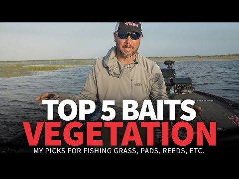 TOP 5 Baits for VEGETATION! (All Seasons)
