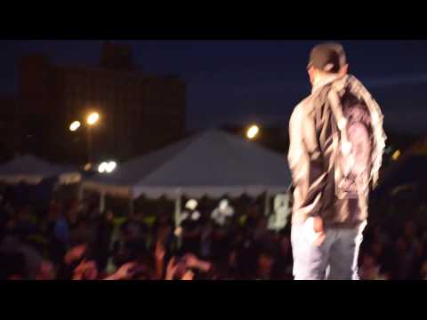 Emmure - Untitled and Nemisis LIVE 1080p HD - Skate and Surf Festival 2014 in NJ