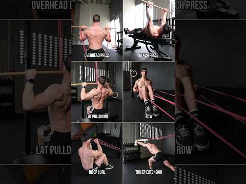 6 Best Resistance Band Exercises