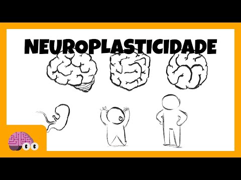 Neuroplasticidade cerebral: O que é e o que não é