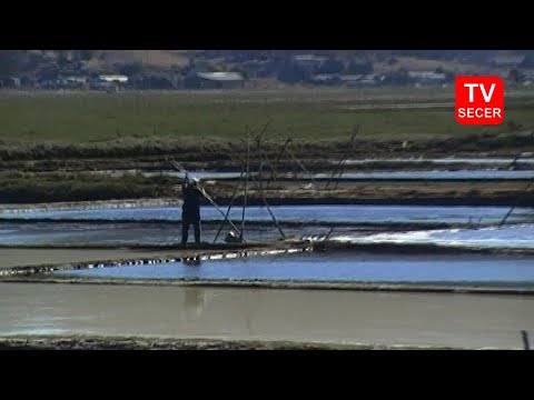 Salinas de Lo Valdivia (Paredones) - Región de O'Higgins, Chile [27/01/2012]
