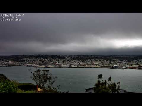 Dunedin Overview thumbnail