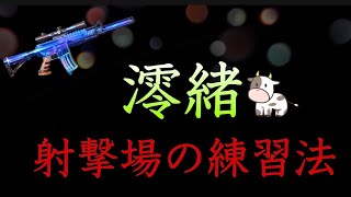 ぜろみおの射撃場の練習方法！！