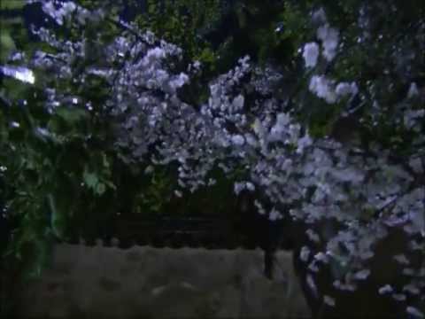 Iljimae Lonely Footsteps (Main Title) OST (Fanmade MV)