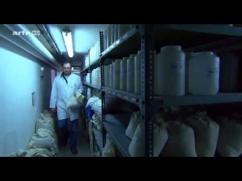 Das Bronze Kartell  Wirtschaftsboom am Mittelmeer - Reportage über das Bronze Kartell