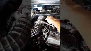 escudo 2.0  thn 2001