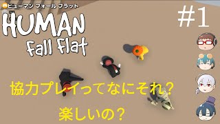 【Human:Fall Flat】#1 協力プレイってなにそれ？ 楽しいの？