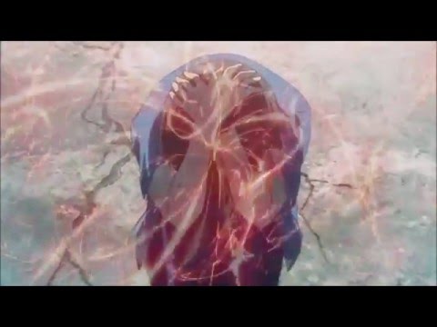 Charlotte AMV Radioactive