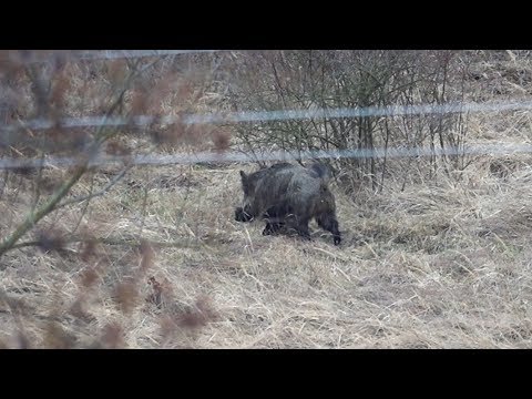 Dobříš - město v přírodě