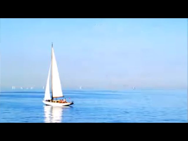 Preview do vídeo