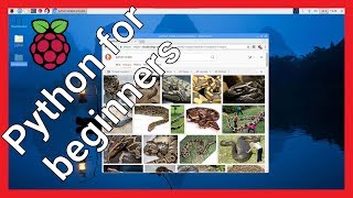 Python for beginners, a look at variables