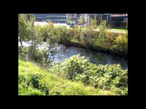 Figgjoelva. Fra Figgjohallen til Edlandsvatnet