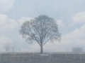 Jon Edwards - In Dreams.mov
