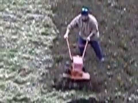 Enrico Basilico e Prezzemolo.AVI