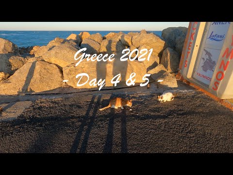 Shore fishing in Greece - DAY 4 & 5 - Baby Grouper,  Barracuda & Mackerel - Feeding stray cats