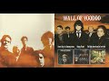 Wall Of Voodoo - Do It Again