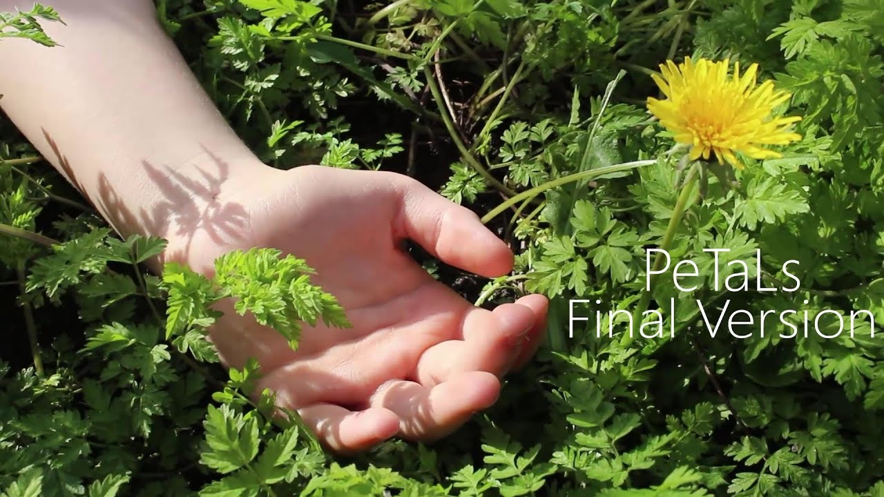 PeTaLs (Final Version) [Short Film]