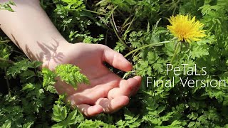 PeTaLs (Final Version) [Short Film]