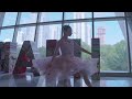George Balanchine S The Nutcracker Sugarplum Fairy