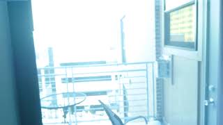 Cover art for the unmatched power of the sun