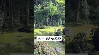 おや…？ #movie #shorts