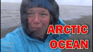 Download lagu I took a dip in the ARCTIC OCEAN at Prudhoe Bay Alaska mp3