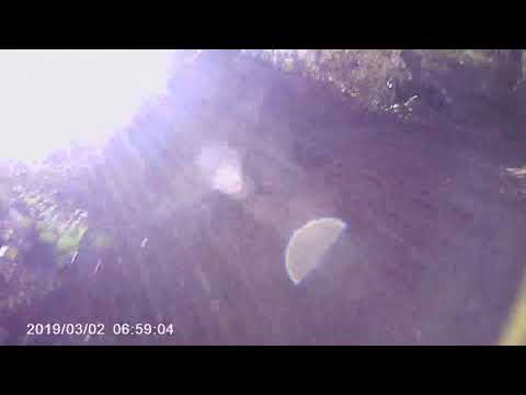 Down hill alla cava delle bestie