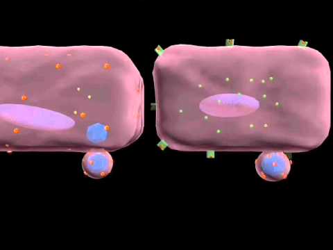 Interferons - YouTube