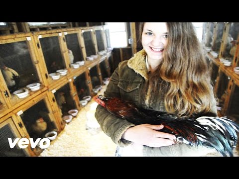 Cock en Caloje | Crocadile Gundi | Cock La Riddim | Dj Fabrice | October 2016 | St.Lucian Creole