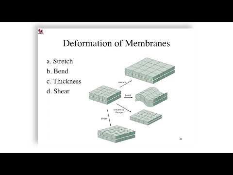 Membrane Deformation