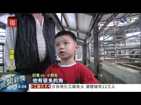 稀奇! 雄鹿頭上長"兩對"鹿角