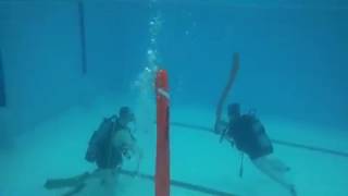 Decoboei-training (SMB)