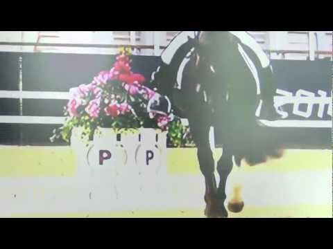 √ʍ o n s t ɘ ʁ√ 3ooSUBS